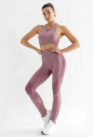 Ladies Elastic Fitness Pants for Bodybuilding and Gym